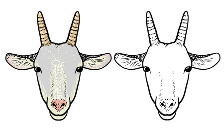 Cartoon head of a goat. One color, the other is not.のイラスト素材