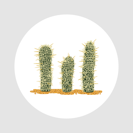 Simmple flat Cactus isolated on white background.のイラスト素材