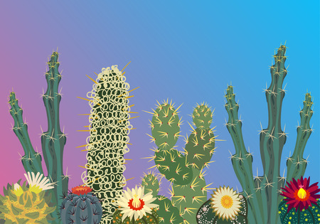 Simmple Cactus collection isolated on gradient background.の写真素材