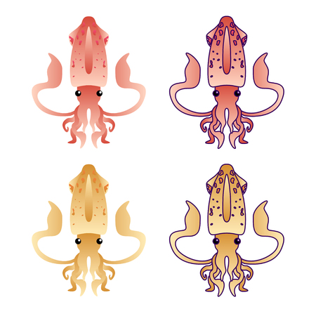 Squidisoleted on white. Flat Gradient Sea Food Concept.のイラスト素材
