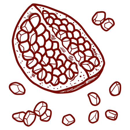 Fresh and juicy pomegranate with seeds. contour hand drawn line illustration isolated on white background. Doodle healthy food illustrations for decor design card.のイラスト素材