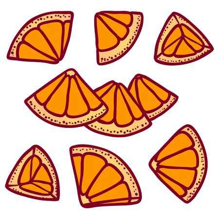 Orange fruit slices hand drawn color illustrations setのイラスト素材