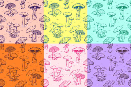 Seamless pattern of Forest types of poisonous mushrooms collection, edible and non-edible boletus in retro sketch style wallpaper for textile and fabric. Fashion style. Colorful bright.のイラスト素材