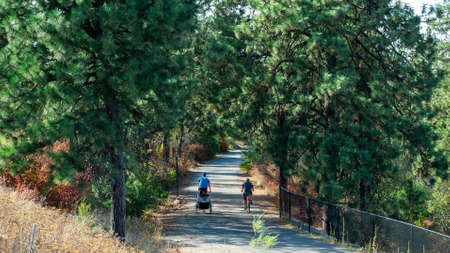 Couple riding bikes on trail through pine trees in summerの写真素材