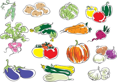 Vegetablesのイラスト素材