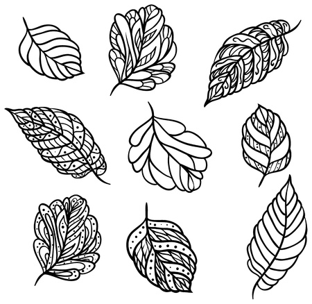 Nine different ornate black leaves for your design isolated on white background.のイラスト素材