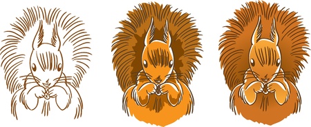 Squirrel holding of the paws a cone. Three versions are available: outline, without gradient and a gradient. Vector illustration. Isolated on white.のイラスト素材