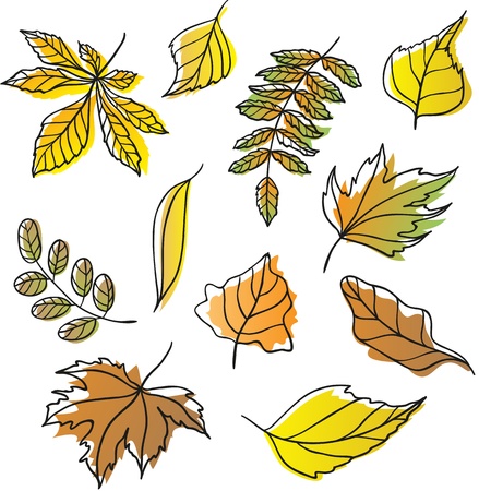 Set of fall leavesのイラスト素材