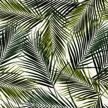 Palm Repeat Patternの写真素材