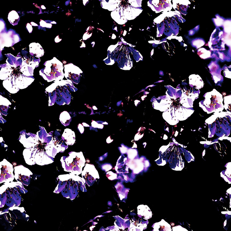 Blossom Repeat Patternの写真素材