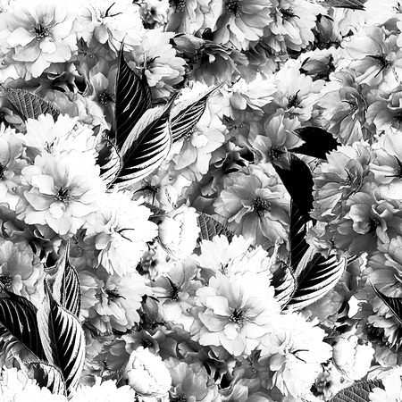 Monochrome Blossom Repeatの写真素材