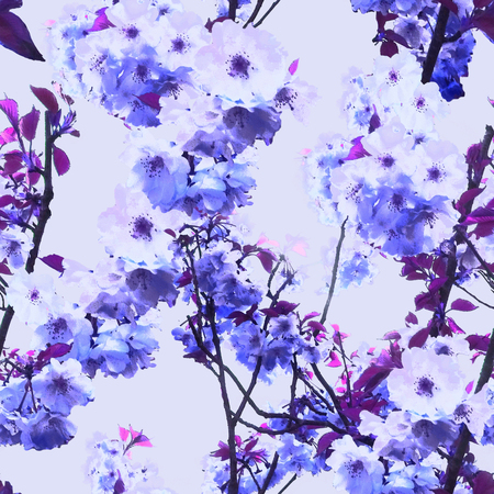 Purple Blossom Repeatの写真素材