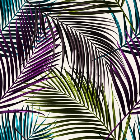 Palm Repeat Patternの写真素材