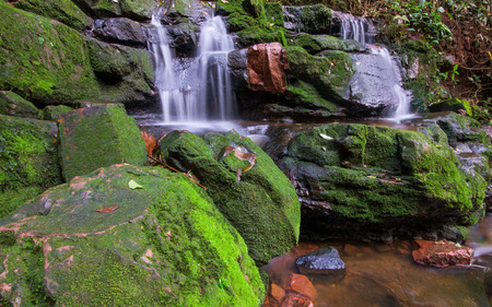 beautiful waterfalls around The Natural forestの写真素材
