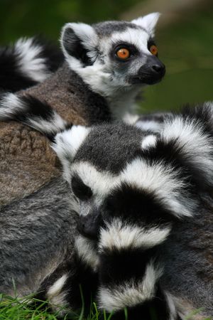 Kattasの写真素材