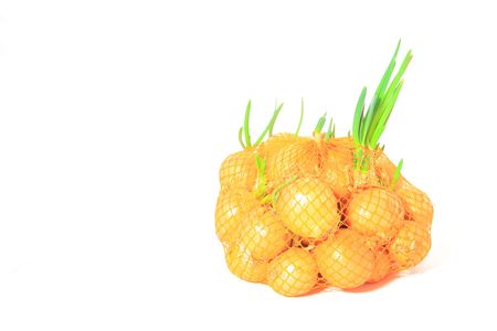 onionの写真素材