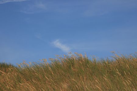 sand dunesの写真素材