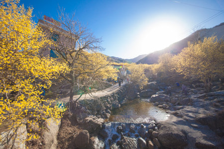 The villages and valleys of Gurye in Korea, where cornelian flowers bloom.の写真素材