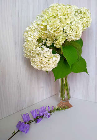 a bouquet of white hydrangea in a small vase and a twig with purple bells on a light background.
