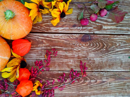 Fall colors. Yellow flowers of bicolor rudbeckia, orange pumpkins, red leaves, burgundy barberry, apples on a wooden backgroundの写真素材