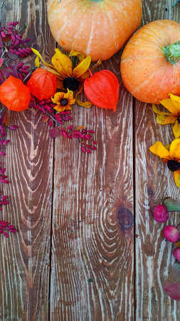 Fall colors. Yellow flowers of bicolor rudbeckia, orange pumpkins, red leaves, burgundy barberry, apples on a wooden backgroundの写真素材