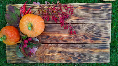 Fall colors. Yellow flowers of bicolor rudbeckia, orange pumpkins, red leaves, burgundy barberry, apples on a wooden backgroundの写真素材