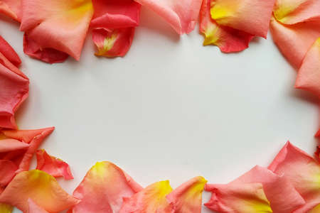 frame from pink and yellow fallen rose petals