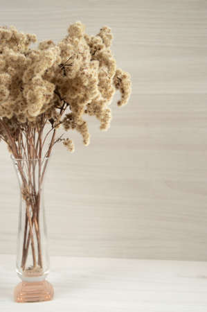 pampas grass in a transparent vase on a light background. concept of purity and naturalnessの写真素材