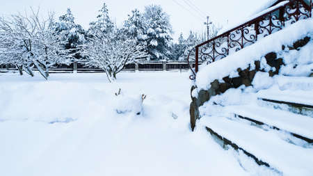 Snow-covered staircase with forged railings against the background of the winter garden.の写真素材