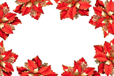 frame of red flowers christmas star poissettia made of paper. Christmas backgroundの写真素材