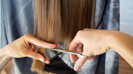 Close-up of female hands cutting wet long hair with scissorsの写真素材