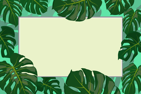 Frame with mockup of tropical monstera leaves on turquoise backgroundのイラスト素材