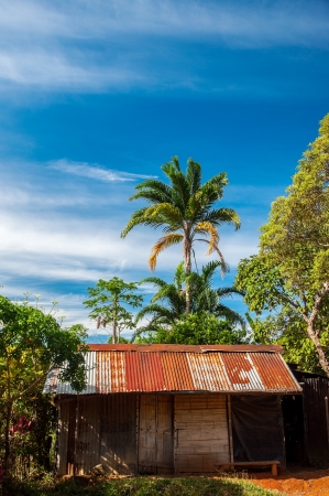 An old shack in the jungle の写真素材