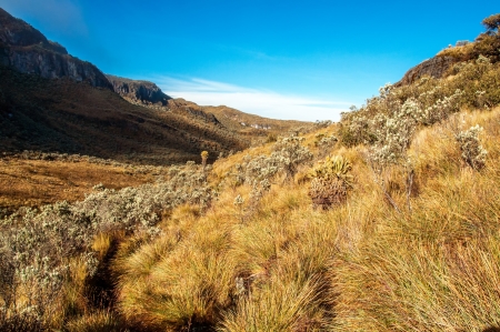 The landscape of the Nevado del Ruiz National Park in Colombia の写真素材