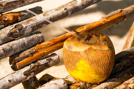 A pina colada served in a coconut in San Andres y Providencia, Colombiaの写真素材