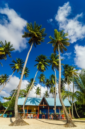 Colorful beach shack and palm trees in San Andres y Providencia, Colombiaの写真素材