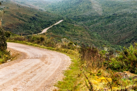 Country road extending deep into the wildernessの写真素材