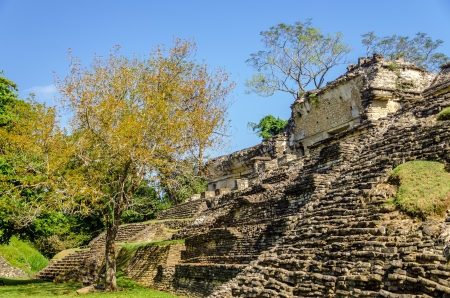 Ruined temple in the ancient Mayan city of Palenque in Mexicoの写真素材
