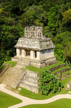 Ancient Mayan temple surrounded by lush green plant life at Palenque, Mexicoの写真素材