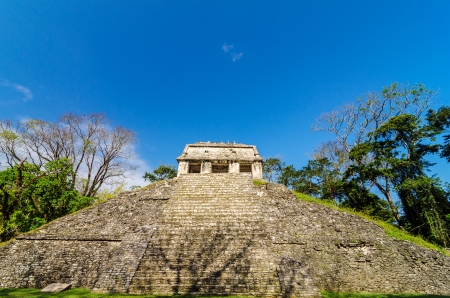 Looking up the steps of an ancient Mayan temple at Palenque, Mexicoの写真素材