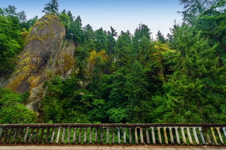Cliffs and lush green forest towering above railing of historic Highway 30 in the Columbia River Gorge in Oregonの写真素材