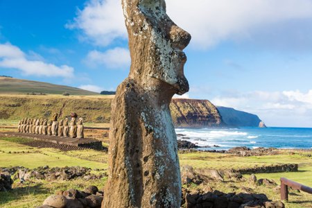 One Moai in the foreground の写真素材