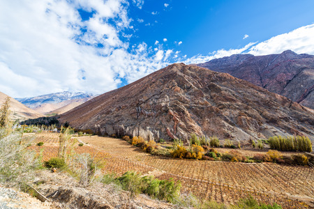 View of the Elqui Valley where a lot of pisco is produced in Chileの写真素材