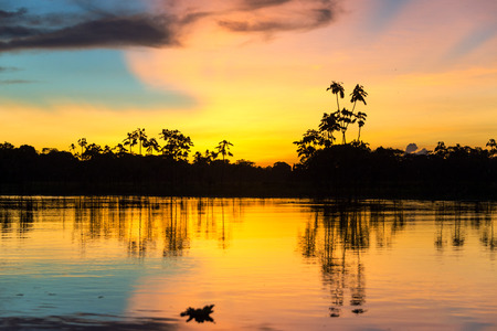 Colorful sunset deep in the Amazon Rainforest in Peruの写真素材