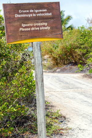 Iguana Crossing sign on Isabela Island in the Galapagos Islands in Ecuadorの写真素材