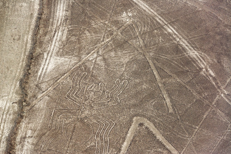 Nazca Lines spider geoglyph in Peruの写真素材
