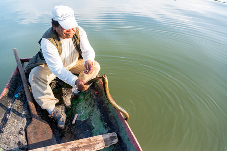 RURRENABAQUE, BOLIVIA - AUGUST 30:  Man removing anaconda from a fishhook in the Amazon near Rurrenabaque, Bolivia on August 30, 2014のeditorial素材