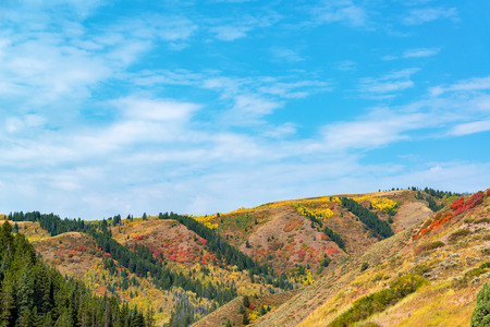 Beautiful colorful hills in southern Wyoming with red, yellow, orange, and green foliage set against a blue skyの写真素材