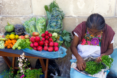 VALLADOLID, MEXICO - FEBRUARY 11: Women with fruits and vegetables for sale in Valladolid, Mexico on February 11, 2017のeditorial素材