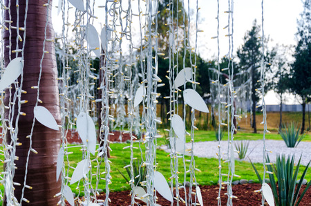Lights with leaves decorating trees in a park in Puebla, Mexicoのeditorial素材